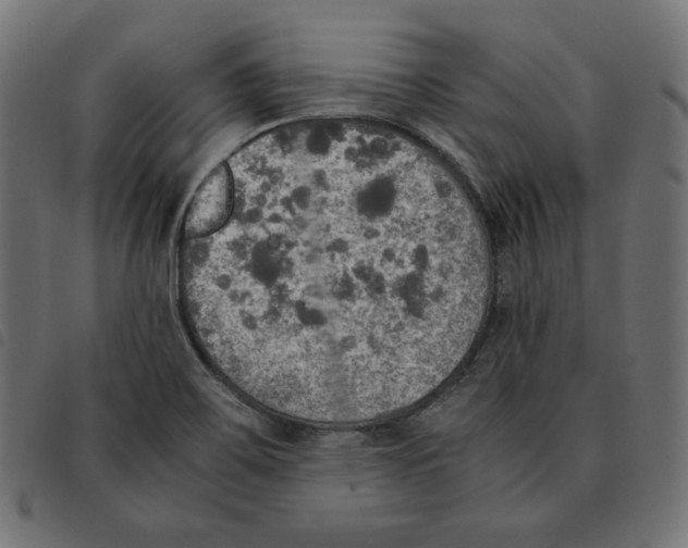 X0000092331467200710121523