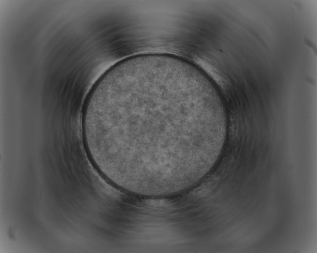 X0000092331468200710121523