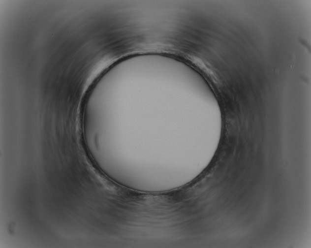 X0000092331469200710121523