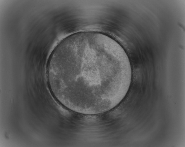 X0000092331470200710121523