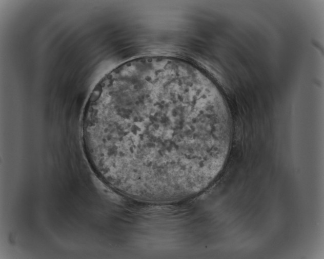 X0000092331471200710121523