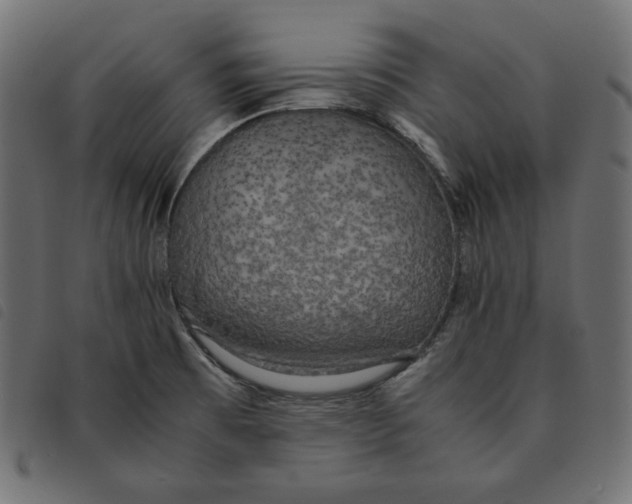 X0000092331473200710121523