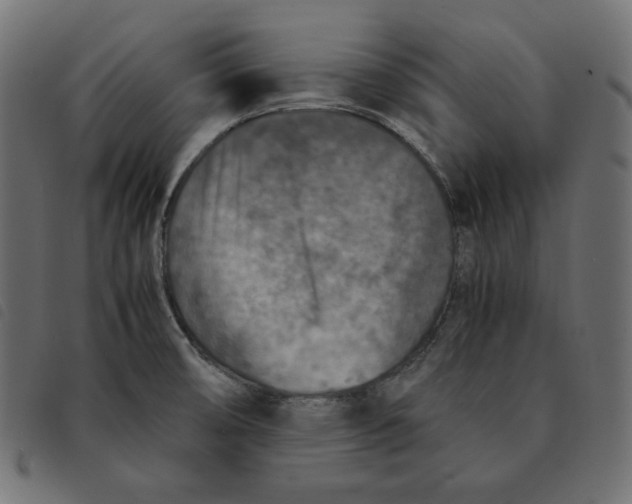 X0000092331474200710121523