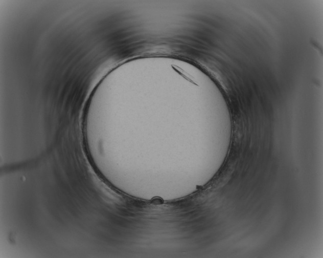 X0000092331475200710121523