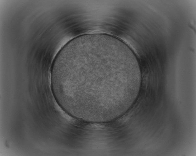 X0000092331476200710121523
