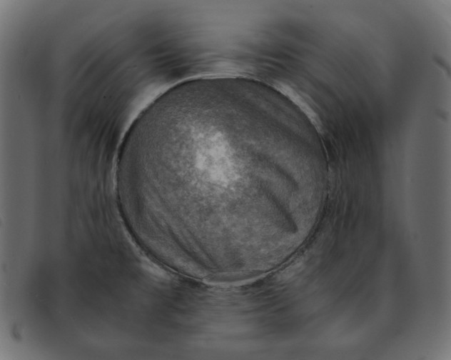 X0000092331477200710121523