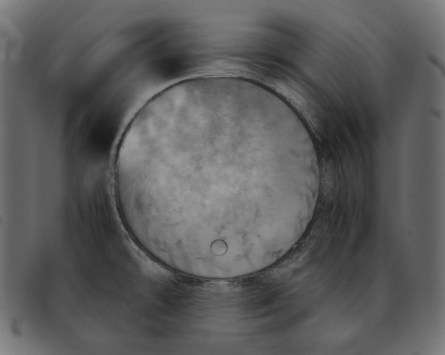 X0000092331478200710121523