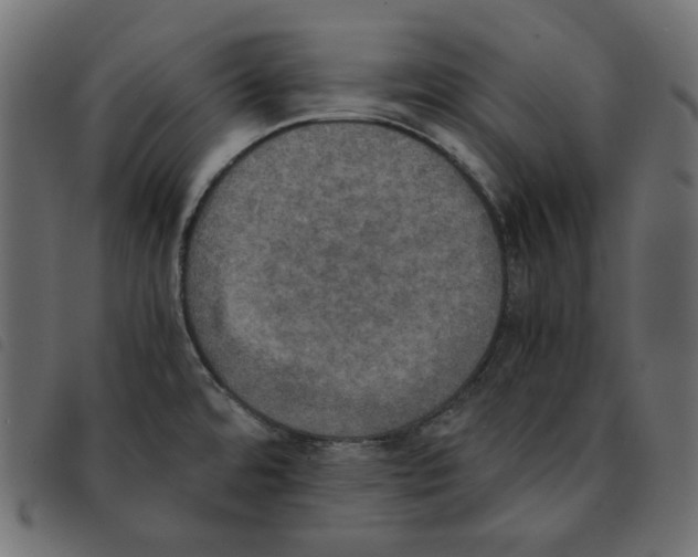 X0000092331480200710121523