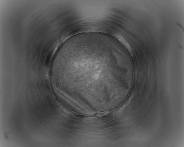 X0000092331481200710121523