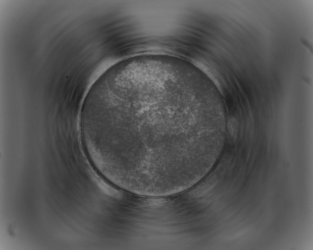 X0000092331482200710121523