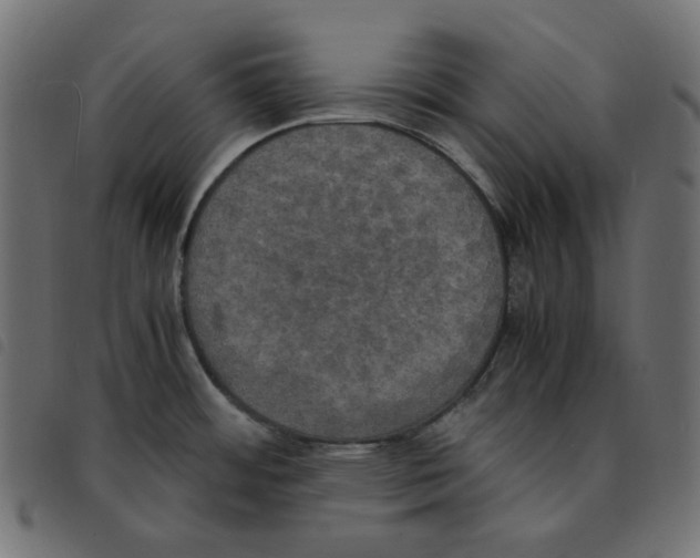 X0000092331484200710121523