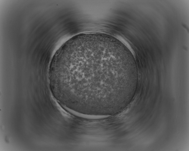 X0000092331485200710121523