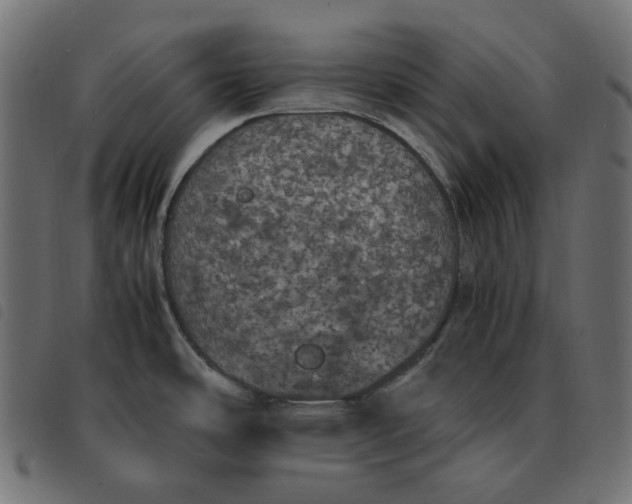 X0000092331486200710121523