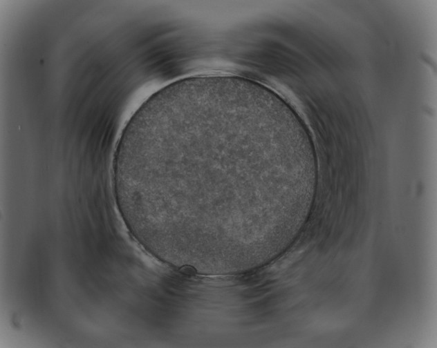 X0000092331488200710121523