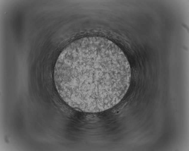 X0000092331489200710121523