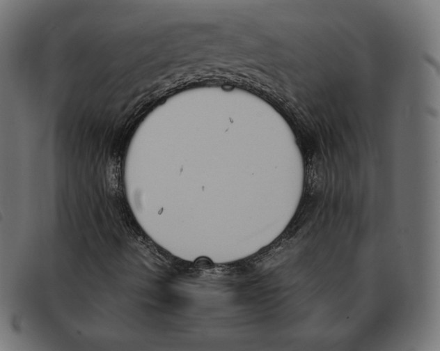 X0000092331490200710121523