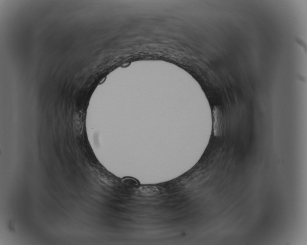 X0000092331491200710121523