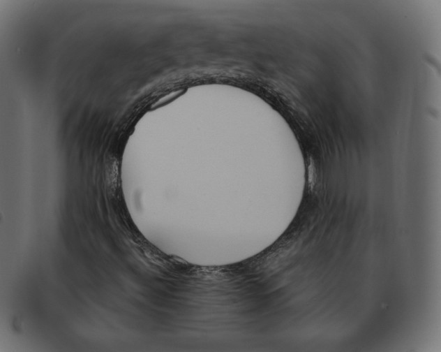 X0000092331492200710121523