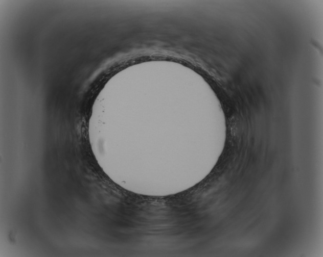 X0000092331495200710121523