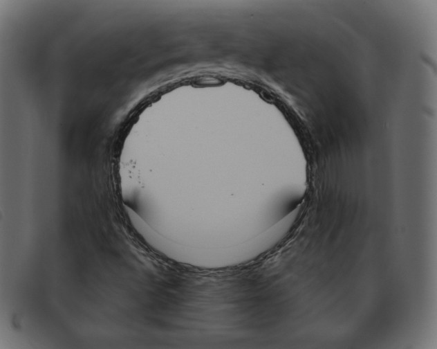 X0000092331496200710121523