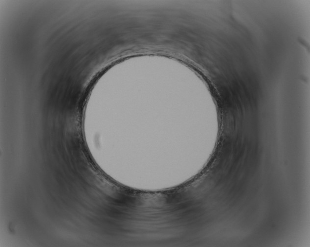 X0000092331498200710121523