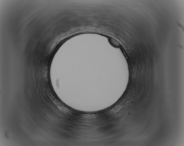 X0000092331499200710121523