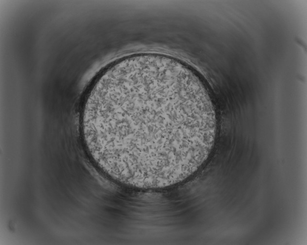X0000092331503200710121523