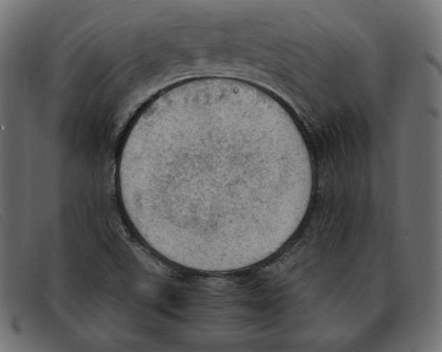 X0000092331507200710121523