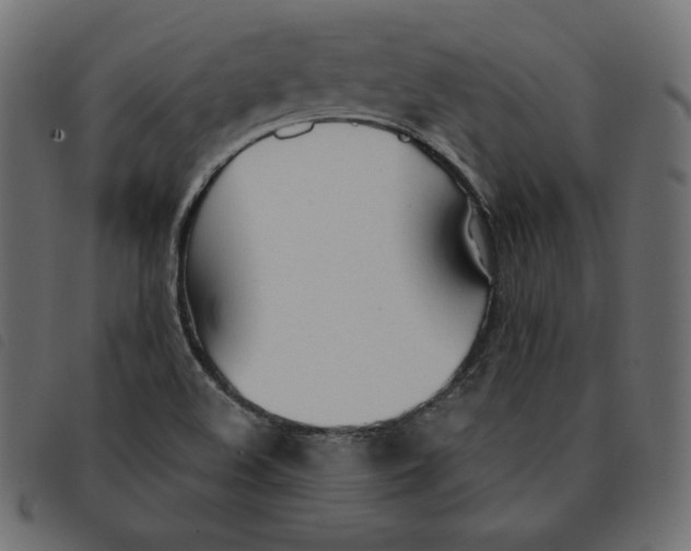 X0000092331508200710121523