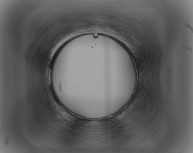 X0000092331510200710121523