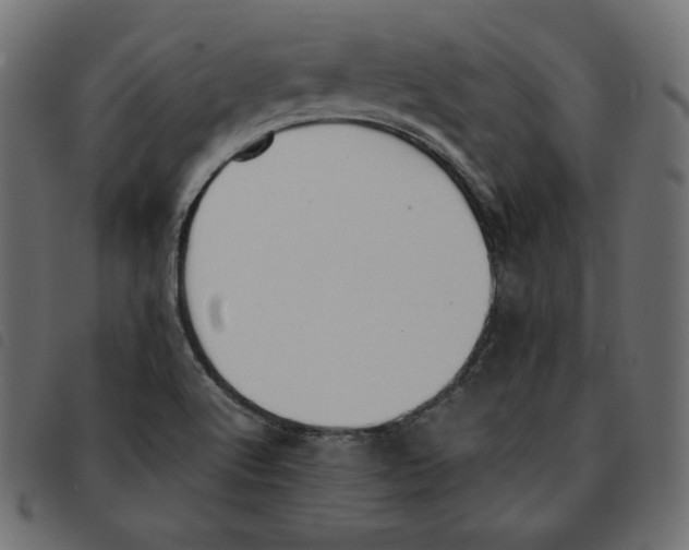 X0000092331512200710121523