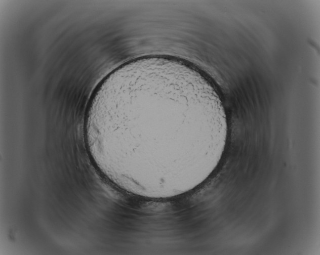X0000092331513200710121523