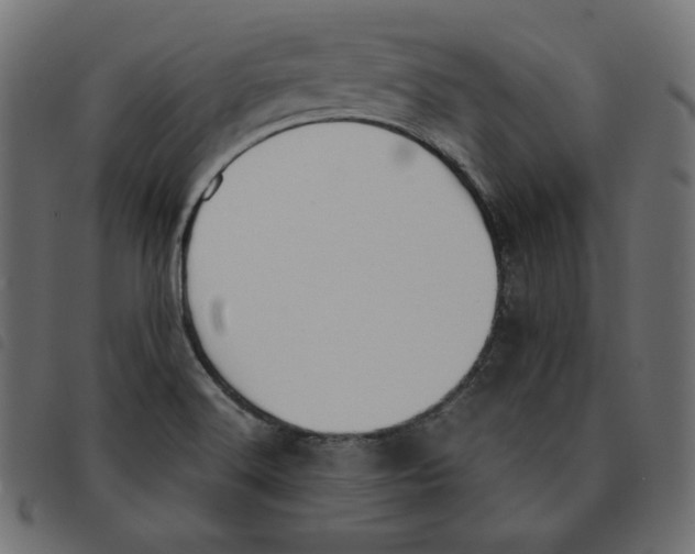 X0000092331516200710121523