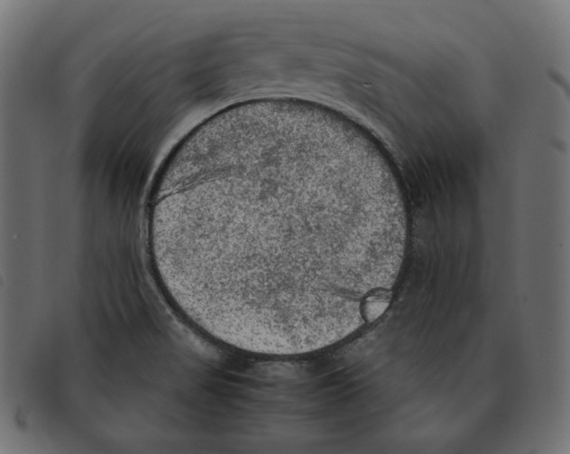 X0000092331517200710121523