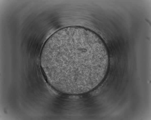 X0000092331521200710121523