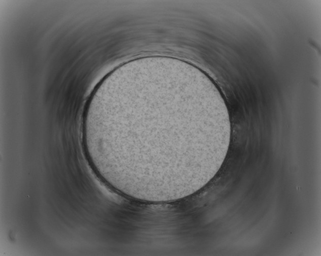 X0000092331523200710121523