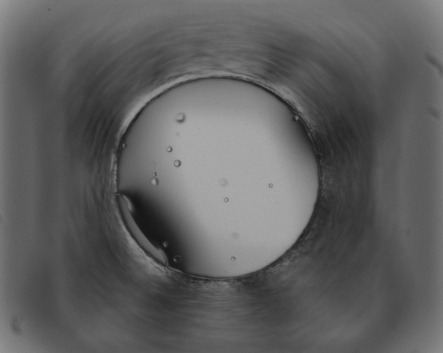 X0000092331524200710121523
