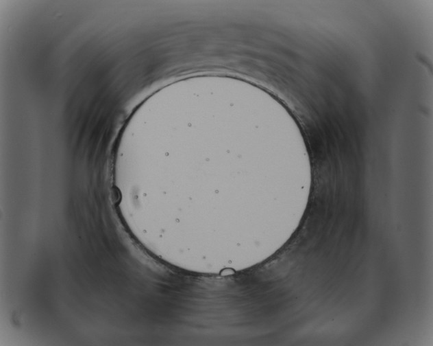 X0000092331526200710121523