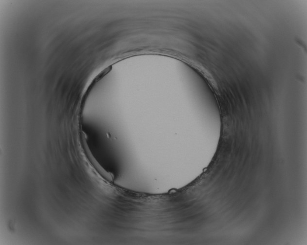 X0000092331530200710121523
