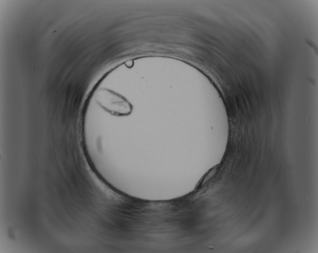 X0000092331531200710121523