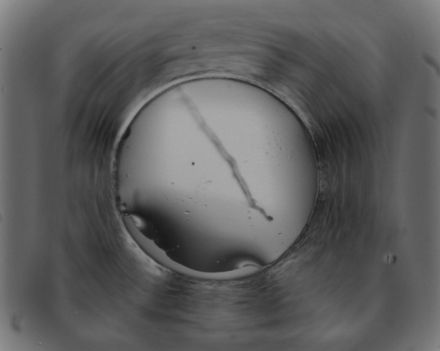 X0000092331532200710121523