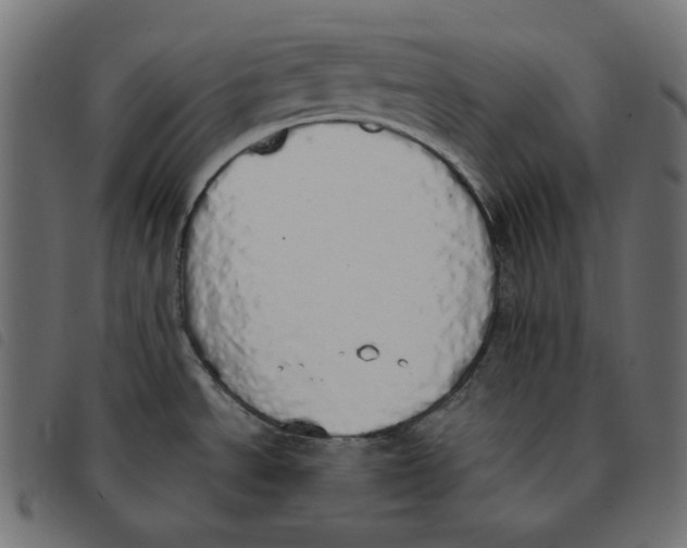 X0000092331534200710121523
