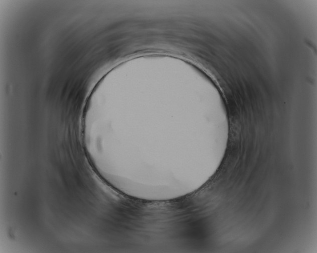 X0000092331535200710121523