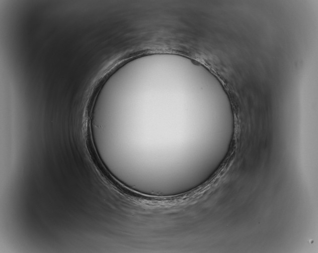X0000093090005200709260917
