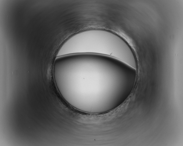 X0000093090009200709260917