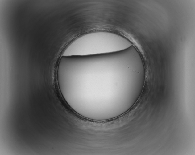 X0000093090010200709260917