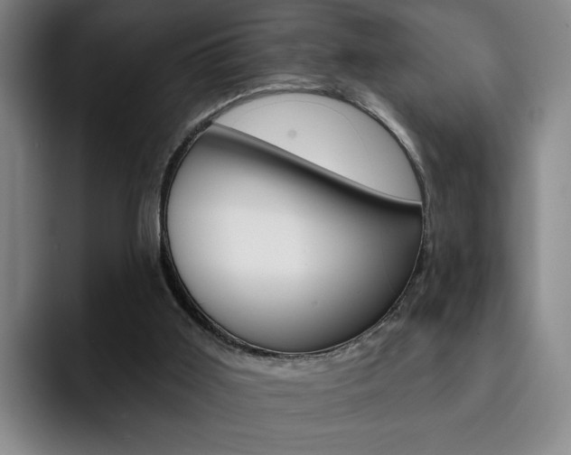 X0000093090011200709260917