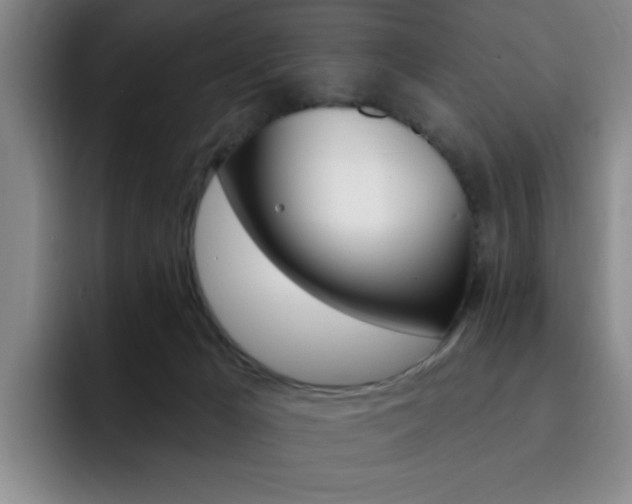 X0000093090029200709260917