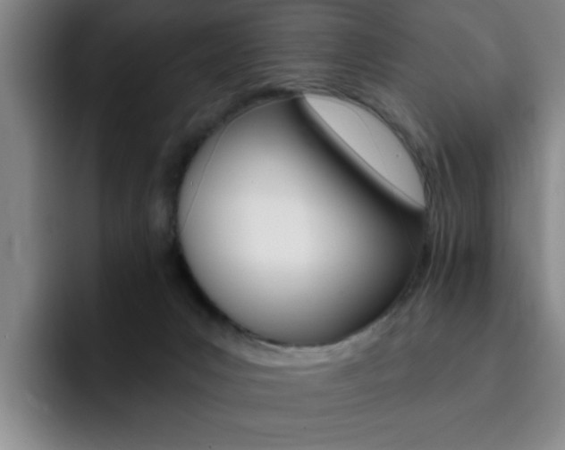X0000093090031200709260917