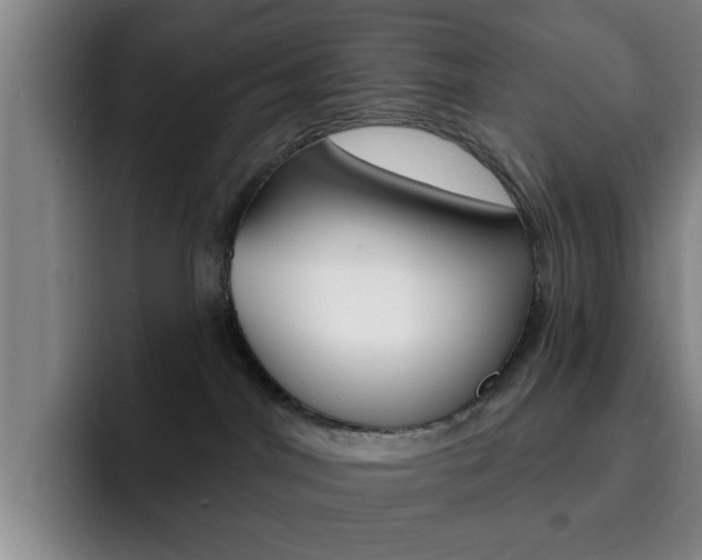 X0000093090044200709260917